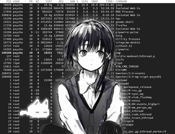 A monochrome terminal screenshot overlaid with an illustrated figure